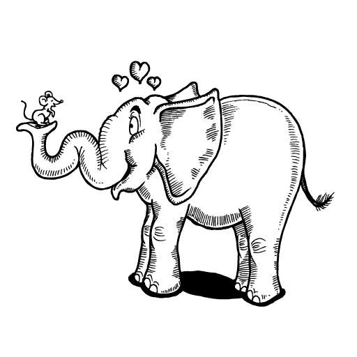 Right Image