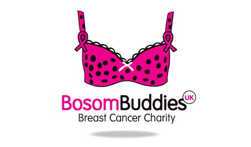 Addition-Studios---Website-Client-Slides-(Bosom-Buddies-UK-Breast-Cancer-Charity)